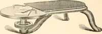 An illustration from The microscope; an introduction to microscopic methods and to histology (1899)
