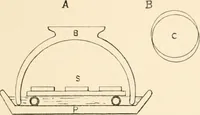 An illustration from The microscope; an introduction to microscopic methods and to histology (1899)