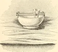 An illustration from The microscope; an introduction to microscopic methods and to histology (1899)