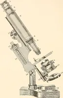 An illustration from The microscope; an introduction to microscopic methods and to histology (1899)