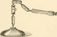 An illustration from The microscope; an introduction to microscopic methods and to histology (1899)