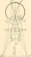 An illustration from The microscope; an introduction to microscopic methods and to histology (1899)