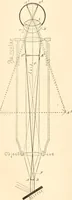 An illustration from The microscope; an introduction to microscopic methods and to histology (1899)
