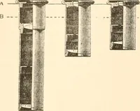 An illustration from The microscope; an introduction to microscopic methods and to histology (1899)