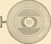 An illustration from The microscope; an introduction to microscopic methods and to histology (1899)