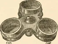 An illustration from The microscope; an introduction to microscopic methods and to histology (1899)
