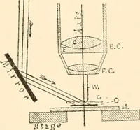 An illustration from The microscope; an introduction to microscopic methods and to histology (1899)