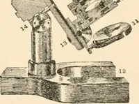 An illustration from The microscope; an introduction to microscopic methods and to histology (1899)