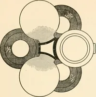 An illustration from The microscope; an introduction to microscopic methods and to histology (1899)