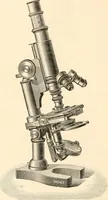 An illustration from The microscope; an introduction to microscopic methods and to histology (1899)