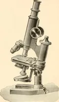 An illustration from The microscope; an introduction to microscopic methods and to histology (1899)