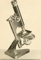 An illustration from The microscope; an introduction to microscopic methods and to histology (1899)