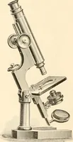 An illustration from The microscope; an introduction to microscopic methods and to histology (1899)