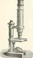An illustration from The microscope : an introduction to microscopic methods and to histology (1911)