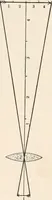 An illustration from The microscope : an introduction to microscopic methods and to histology (1911)