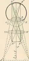 An illustration from The microscope : an introduction to microscopic methods and to histology (1911)