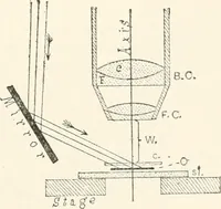 An illustration from The microscope : an introduction to microscopic methods and to histology (1911)