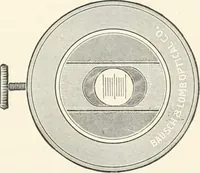 An illustration from The microscope : an introduction to microscopic methods and to histology (1911)