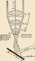 An illustration from The microscope : an introduction to microscopic methods and to histology (1911)