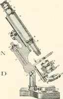 An illustration from The microscope : an introduction to microscopic methods and to histology (1911)