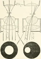 An illustration from The microscope : an introduction to microscopic methods and to histology (1911)