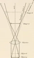 An illustration from The microscope : an introduction to microscopic methods and to histology (1911)