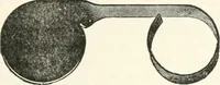 An illustration from The microscope : an introduction to microscopic methods and to histology (1911)