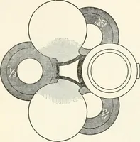 An illustration from The microscope : an introduction to microscopic methods and to histology (1911)