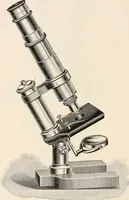 An illustration from The microscope : an introduction to microscopic methods and to histology (1911)