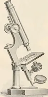 An illustration from The microscope : an introduction to microscopic methods and to histology (1911)
