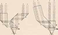 An illustration from The microscope; an introduction to microscopic methods and to histology (1917)