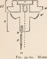 An illustration from The microscope; an introduction to microscopic methods and to histology (1917)