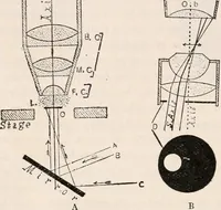 An illustration from The microscope; an introduction to microscopic methods and to histology (1917)