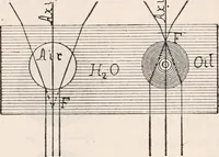 An illustration from The microscope; an introduction to microscopic methods and to histology (1917)