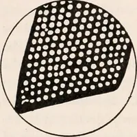 An illustration from The microscope; an introduction to microscopic methods and to histology (1917)