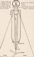 An illustration from The microscope; an introduction to microscopic methods and to histology (1917)