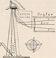 An illustration from The microscope; an introduction to microscopic methods and to histology (1917)