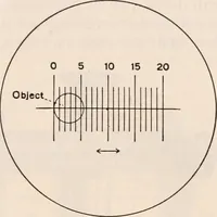 An illustration from The microscope; an introduction to microscopic methods and to histology (1917)