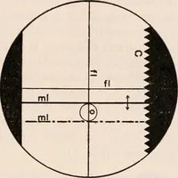 An illustration from The microscope; an introduction to microscopic methods and to histology (1917)