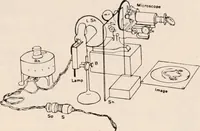 An illustration from The microscope; an introduction to microscopic methods and to histology (1917)