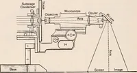 An illustration from The microscope; an introduction to microscopic methods and to histology (1917)