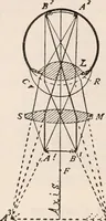 An illustration from The microscope; an introduction to microscopic methods and to histology (1917)