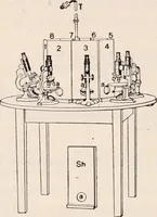 An illustration from The microscope; an introduction to microscopic methods and to histology (1917)