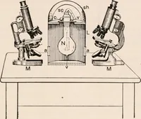 An illustration from The microscope; an introduction to microscopic methods and to histology (1917)