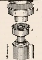 An illustration from The microscope; an introduction to microscopic methods and to histology (1917)