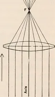 An illustration from The microscope; an introduction to microscopic methods and to histology (1917)