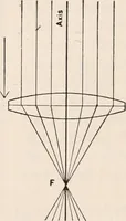 An illustration from The microscope; an introduction to microscopic methods and to histology (1917)