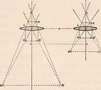 An illustration from The microscope; an introduction to microscopic methods and to histology (1917)