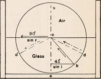 An illustration from The microscope; an introduction to microscopic methods and to histology (1917)