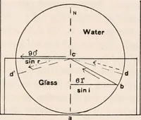 An illustration from The microscope; an introduction to microscopic methods and to histology (1917)